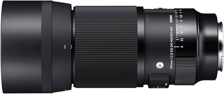 Amazon.com : Sigma 105mm F2.8 DG DN Macro Art (Sony E-mount