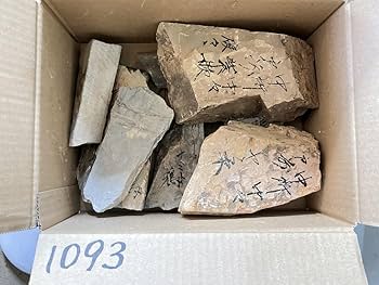Amazon | 天然砥石 山城銘砥 原石 奥殿 中山 大突 菖蒲谷 等 右京区梅