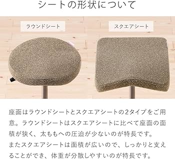 Amazon.co.jp: バランスラボ バランスシナジー ラウンド シック