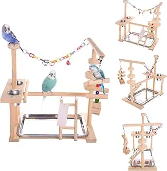 61V8AkoZhuL._AC_UF350,