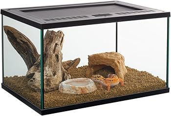 Amazon | スドー レオパ はじめて お迎え 飼育 セット キット 5点