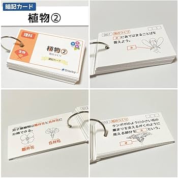 Amazon.co.jp: 中学受験 理科（生物）植物 暗記カードRK006 : 文房具