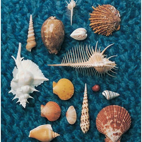 Amazon.co.jp: CYCLE HIT 1991-1997 Spitz Complete Single Collection