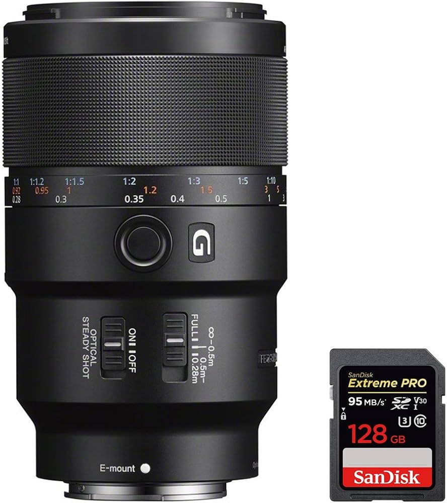 Amazon.com: Sony (SEL90M28G FE 90mm F2.8 Macro G OSS Full-Frame E
