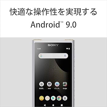 Amazon.co.jp: ソニー ウォークマン 64GB ZXシリーズ NW-ZX507