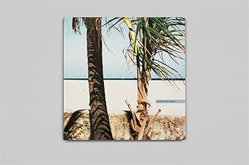 Amazon | William Eggleston: The Democratic Forest | Eggleston