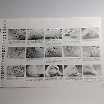 Amazon.co.jp: バードカービング教本2冊 パトリック ゴディンのカモと