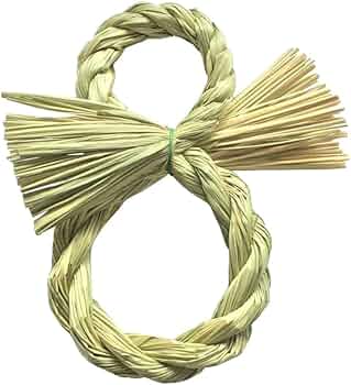 61ZATQTm4SL._AC_UF350,