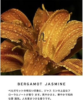 Amazon | SHOLAYERED （ショーレイヤード）コンパウンド オードトワレ