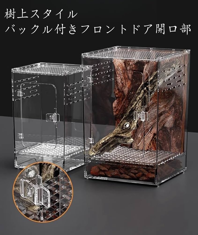 Amazon | Raineed 爬虫類 ケージ トカゲ 飼育セット カエル 水槽