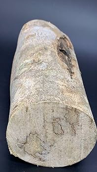 古い天然香木 沈香原木 124g 茶道具 タニシャム沈香伽羅聞香 香道具