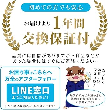 Amazon.co.jp: 【ながら洗車】ホームウォッシュ 容量10L『水道を