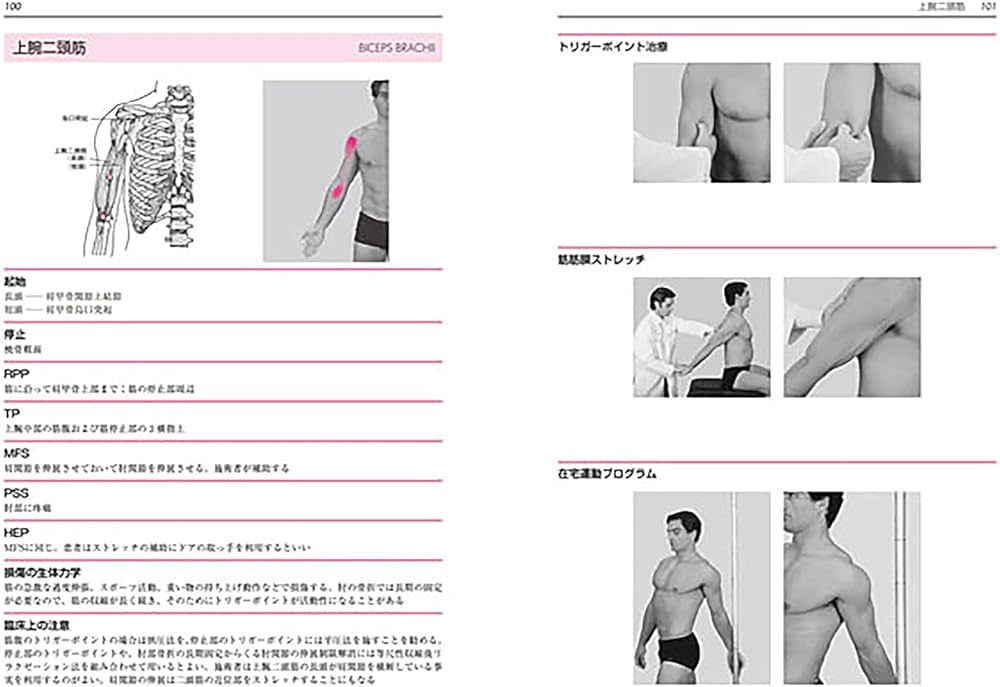 トリガーポイントと筋筋膜療法マニュアル | Dimitrios Kostopoulos