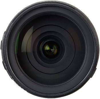 Amazon.com : Tamron 16-300mm F/3.5-6.3 Di-II VC PZD All-In-One