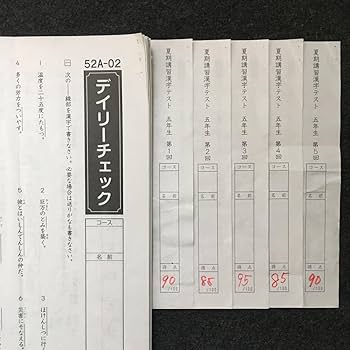 Amazon.co.jp: サピックス 5年 国語 1年分 季節講習 デイリーチェック