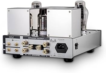 Amazon.co.jp: 300B シングルエンド 内蔵 真空管アンプ A級 HiFi
