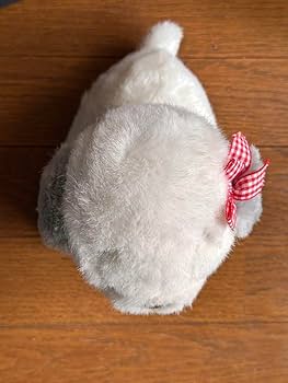 61eHf8V21HL._AC_UF350,