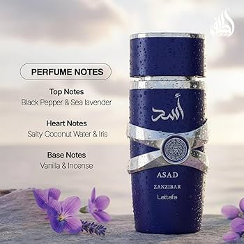 Amazon.com : Lattafa Asad Zanzibar - Fresh, Spicy, Vanilla