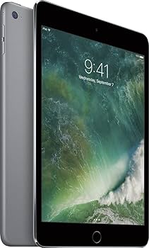 Apple iPad Mini 4, 16GB, Space Gray - WiFi (Renewed) : Amazon.sg