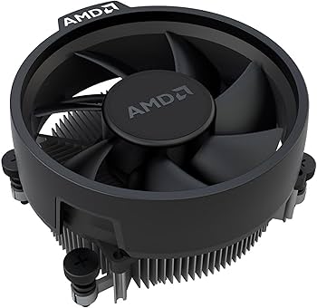 Amazon.com: AMD Ryzen 5 8600G : Electronics