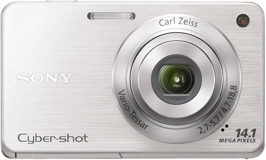 Amazon.com : Sony Cyber-Shot DSC-W560 14.1 MP Digital Still Camera