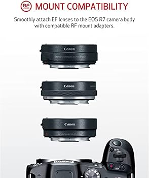 Amazon | Canon (キャノン) ミラーレス一眼カメラ EOS R7 ボディ