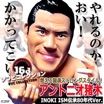 61ieeBFpo-L._AC_UF350,