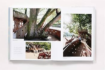 Dream Treehouses: Extraordinary Designs from Concept to Completion