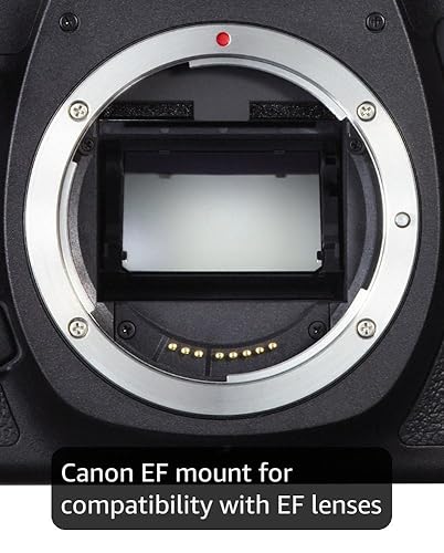Amazon.com : Canon EOS 5D Mark II Full Frame DSLR Camera (Body