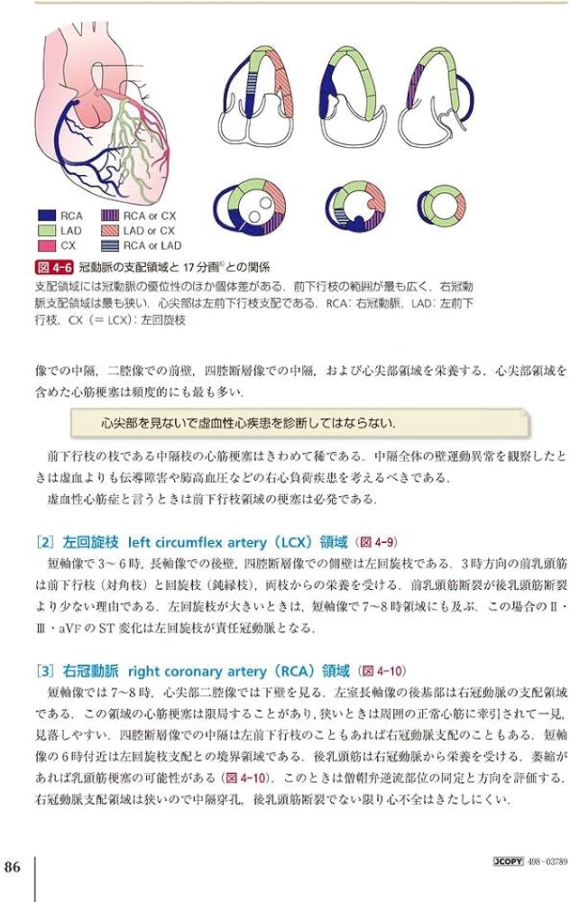 Amazon.co.jp: 新・心エコーの読み方，考え方 改訂4版 : 羽田 勝征