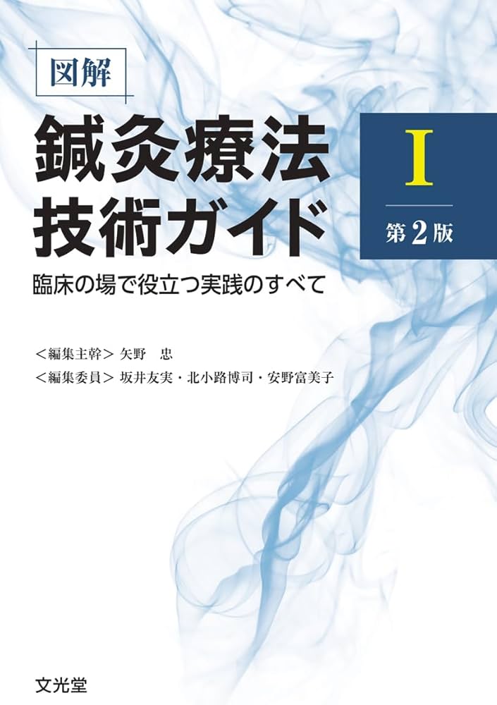 図解鍼灸療法技術ガイドI 第2版 臨床の場で役立つ実践のすべて | 矢野