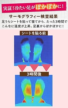 Amazon.co.jp: 【足裏シート】 レミントン 遠赤足うらシート一体型 30