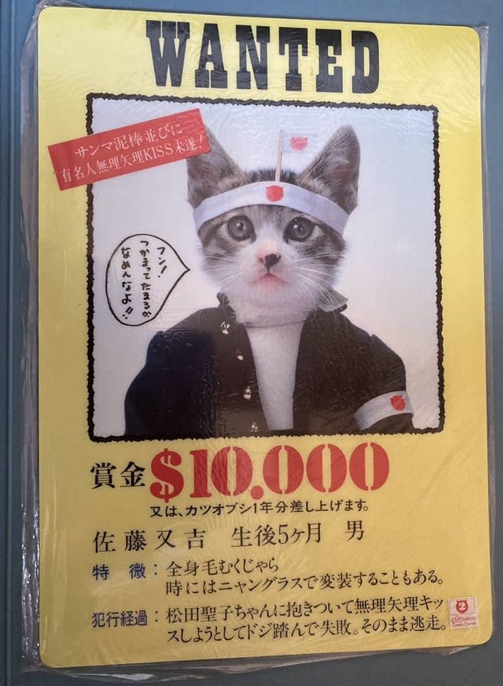 Amazon.co.jp: 昭和56年当時物元祖なめ猫なめんなよ佐藤又吉履歴書