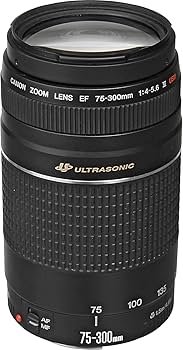 Amazon.com : Canon Ef 75-300mm F/4-5.6 III Telephoto Zoom Lens for