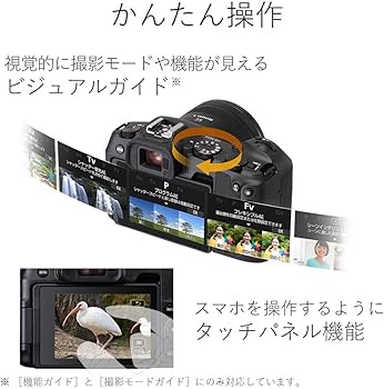 Amazon | Canon ミラーレス一眼カメラ EOS RP ボディ(レンズなし
