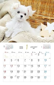 ふわふわこわんこ（月めくり/壁掛け/600mm×380mm） (インプレス