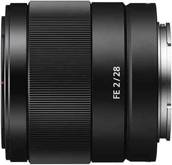 Amazon.com : Sony SEL28F20 FE 28mm f/2-22 Standard-Prime Lens for