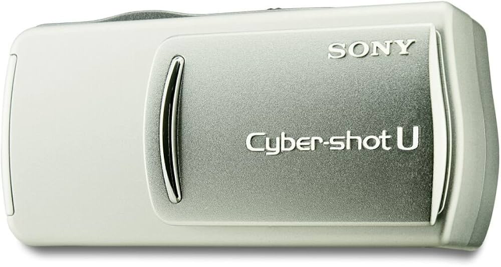 Sony Cybershot DSC-U 20 Silver Digital Camera: Amazon.co.uk