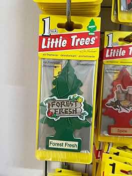 61nQFgKfhOL._AC_UF350,