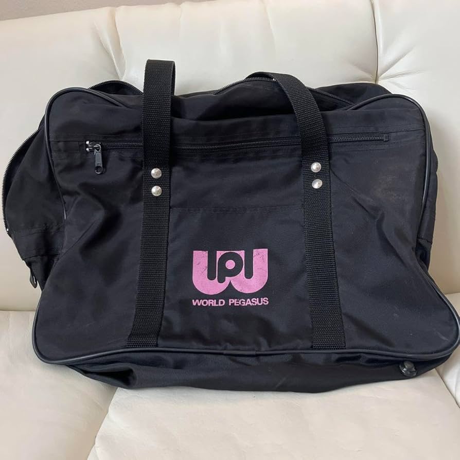 ワールドペガサスワッペスクールバッグ黒ピンク旧型 廃盤カラー