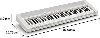 Casio Casiotone CT-S1 – 61-Key Touch-Sensitive Retro Keyboard