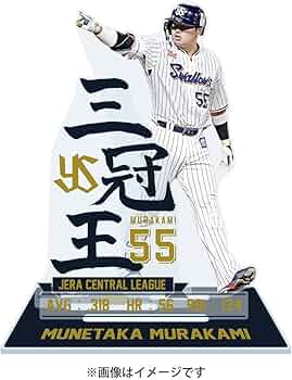 61oOPr31Q2L._AC_UF350,