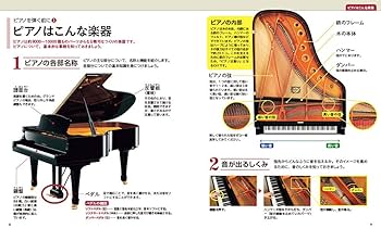 DVD一番やさしい すぐに弾けるピアノ・レッスン | 丹内真弓 |本 | 通販