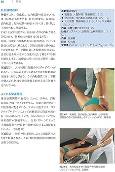 徒手による筋機能マネジメント 筋肉テストブック: 筋機能の診かた