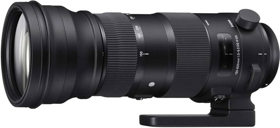 Amazon.co.jp: SIGMA 150-600mm F5-6.3 DG OS HSM | Sports S014