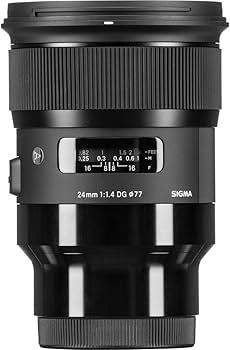 Amazon.com : Sigma 24mm F/1.4 DG HSM Art Lens for Sony E (401965