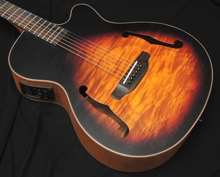 Amazon | 【特別カラー】ARIA FET-F2 BS Fホールエレアコ オリジナル