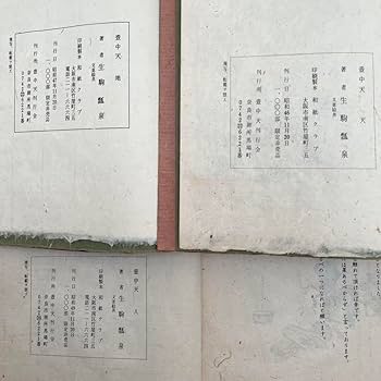 Amazon.co.jp: 壺中天 華道山村御流 大和円照寺 山村御流 花伝書