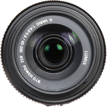 Amazon.com : Panasonic Lumix G II Vario Lens, 45-200mm, F4.0-5.6