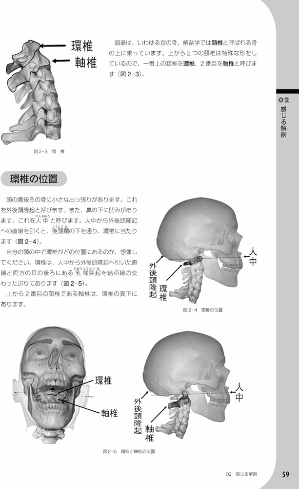 アウェアネス介助論―気づくことから始める介助論 【上巻】解剖学